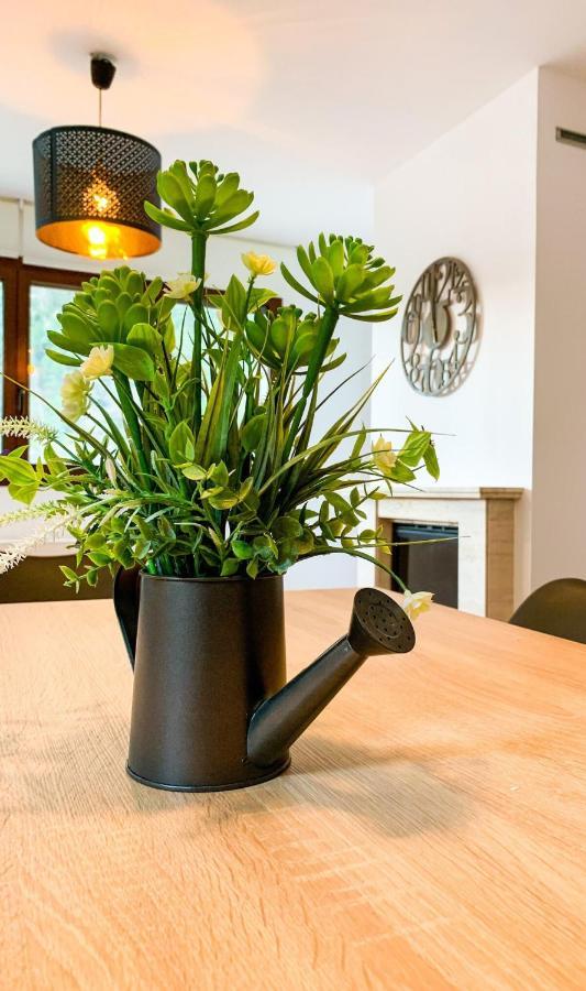 Apartamento Moderno El águila En Arinsal Apartamento *